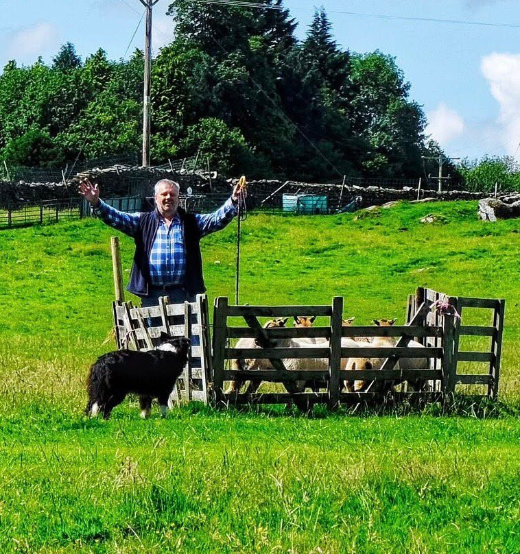 Lake District Sheepdog Experience-Crosthwaite必去景点