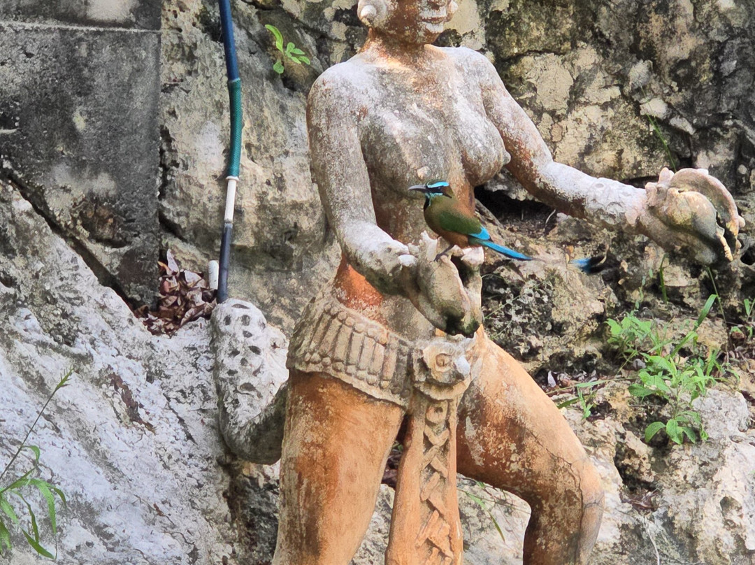 Cenote Zacil-Ha-图伦必去景点