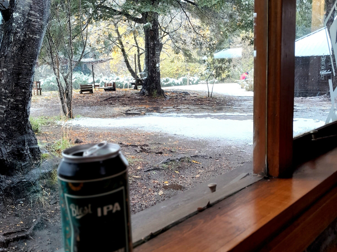 Puerto Blest & Cascada de los Cántaros-圣卡洛斯-德巴里洛切必去景点