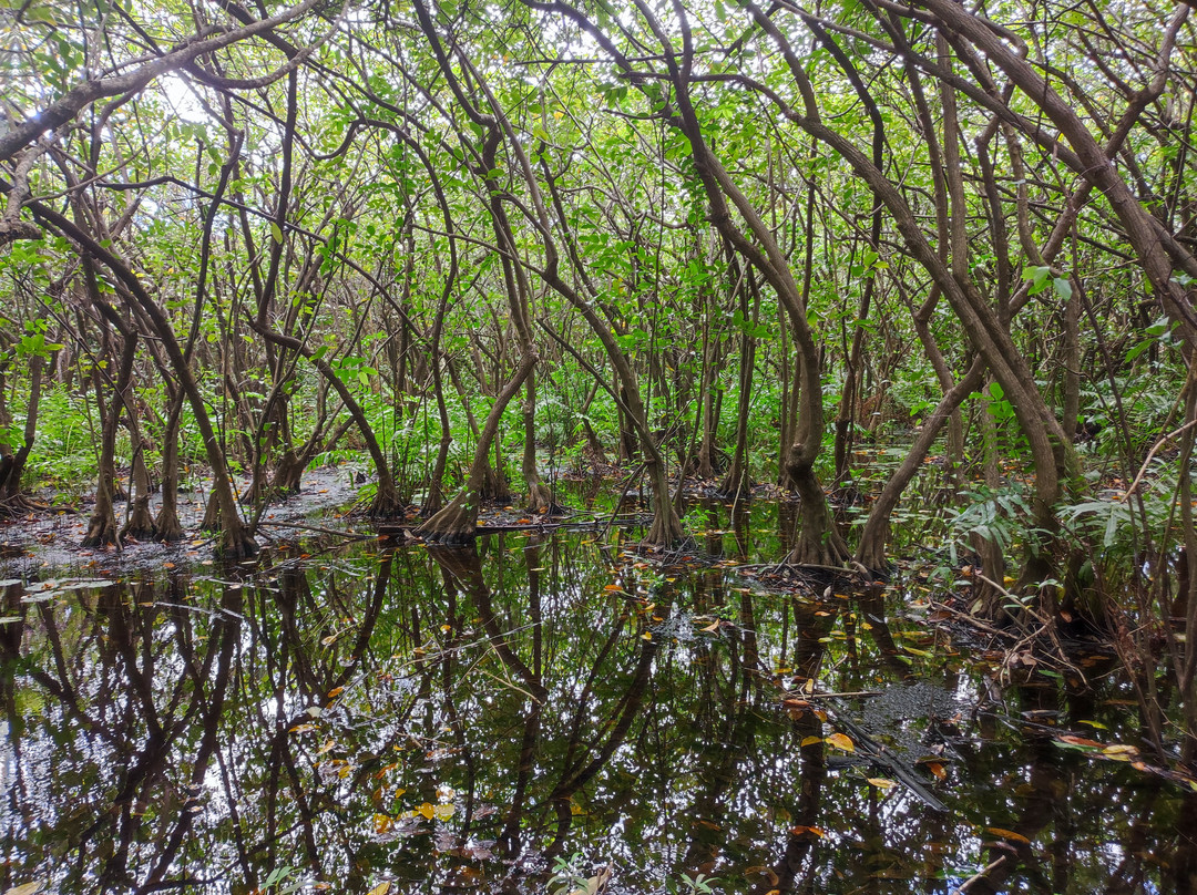 State's Coco Park-福塔莱萨必去景点