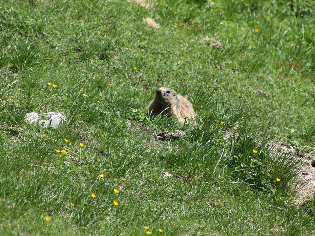 Hotel Pension Sonnleiten主图