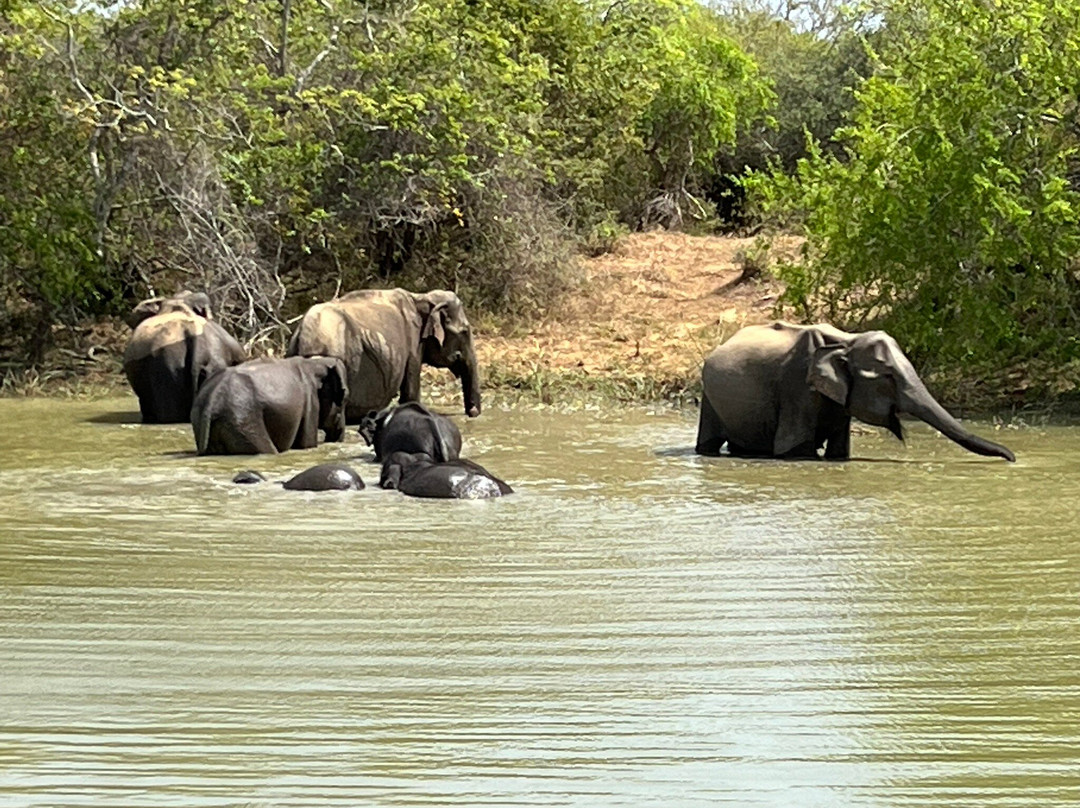 Yala Grand Homestay-Palatupana必去景点