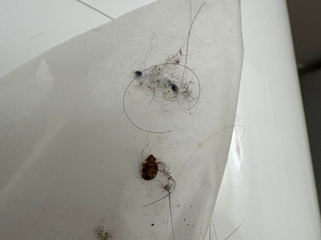 Travellers Inn Hanover主图