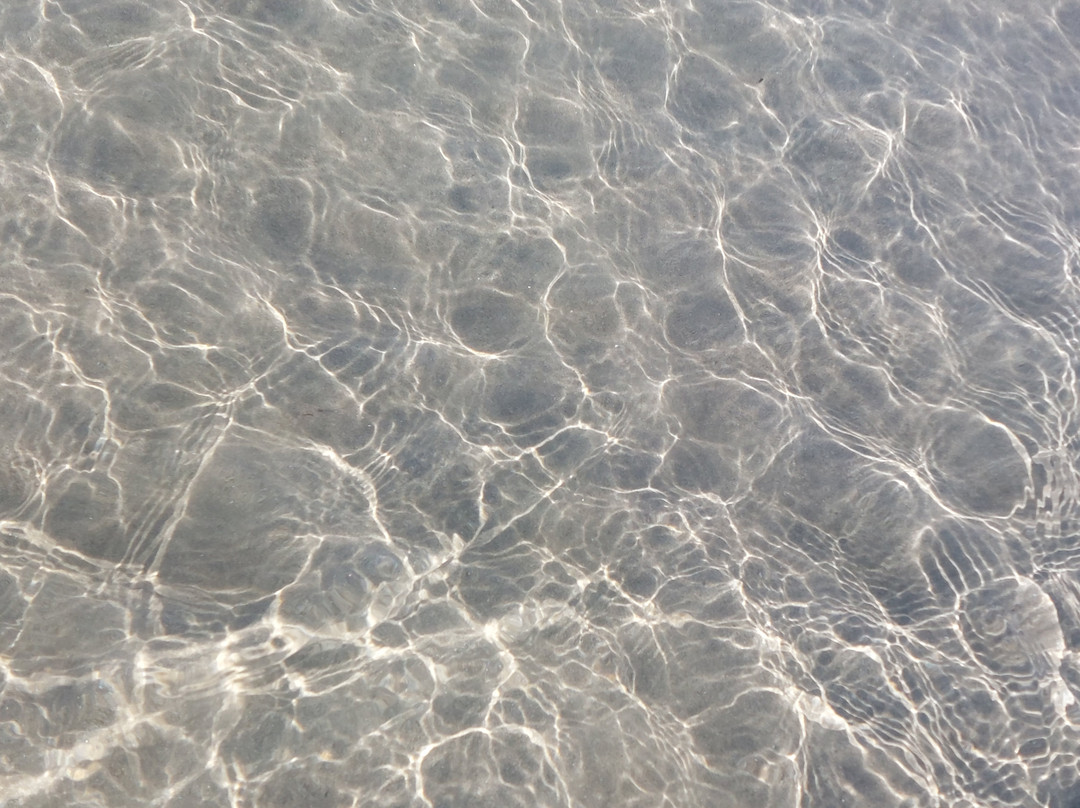 Tortuga Beach-Andora必去景点