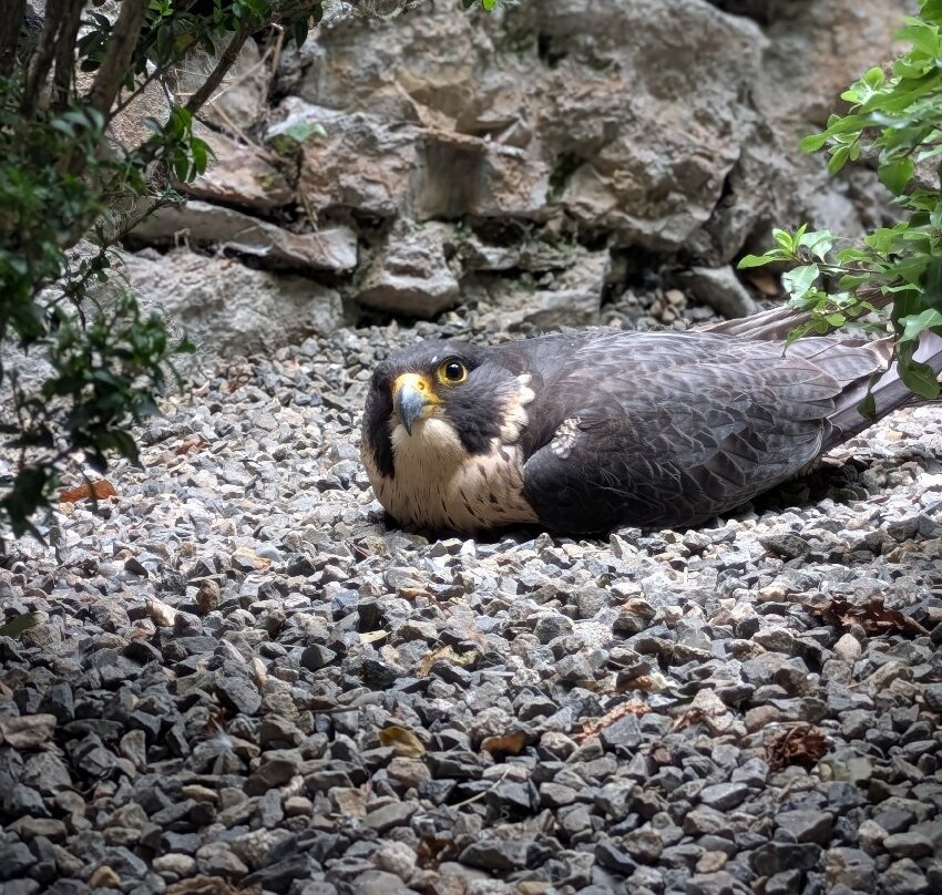 Dungeon of Eagles-Beaucens必去景点
