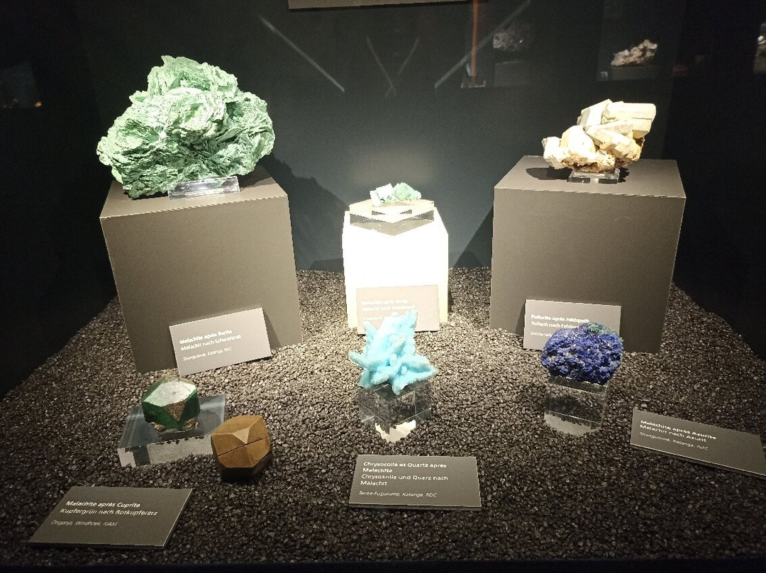 Luxembourg National Museum of Natural History-卢森堡城必去景点