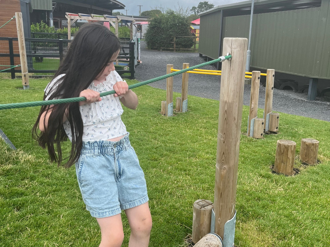 Mollie Moo's Pet Farm-Mullingar必去景点