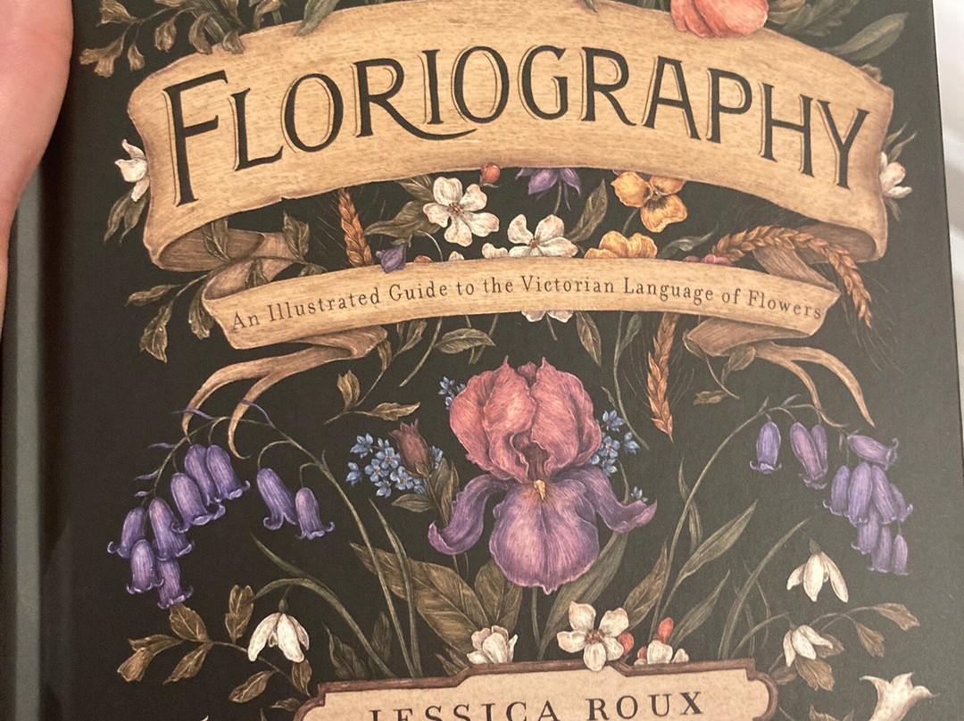 Den Lille Bokbutikken-Haugesund必去景点