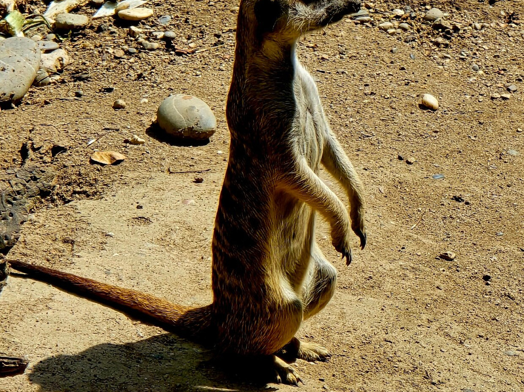 Zoo Basel-巴塞尔必去景点