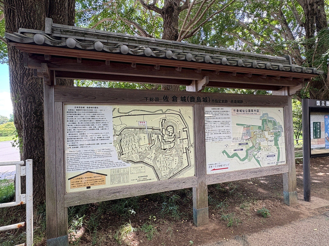 Sakura Castle Site Park-佐仓市必去景点