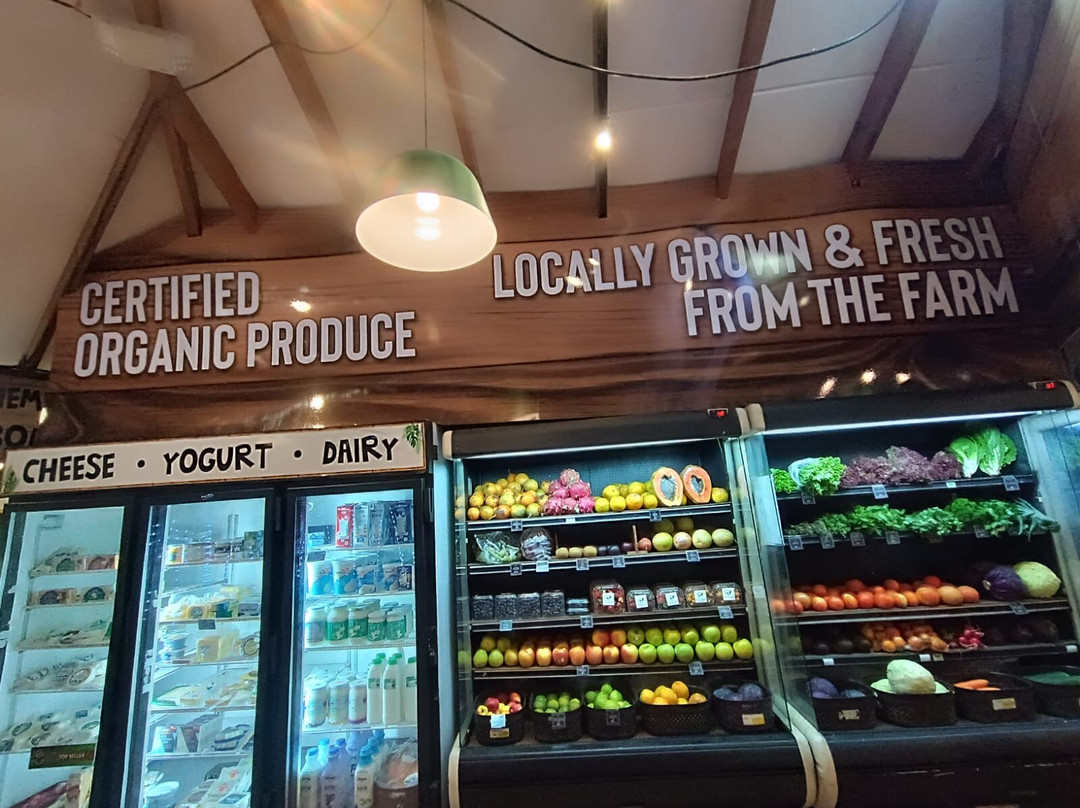 Mama Toucan's Natural and Organic Food Store-主日镇必去景点