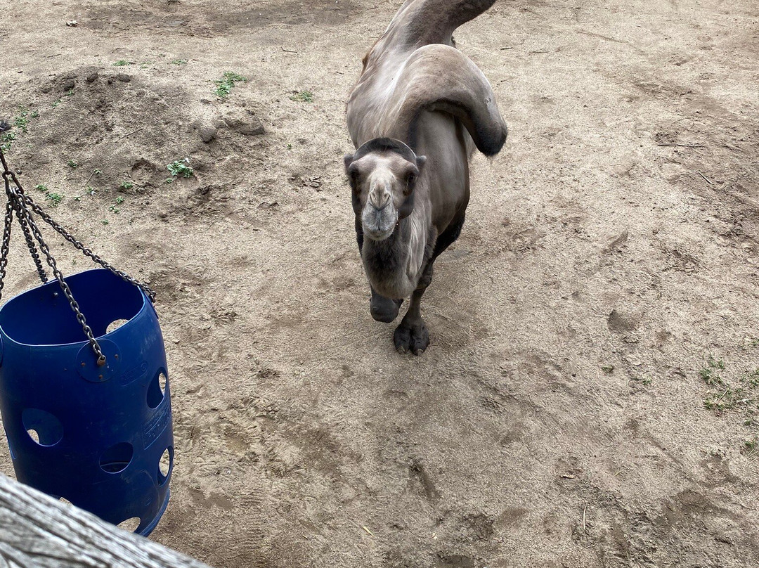 Kasteelpark Born-Born必去景点