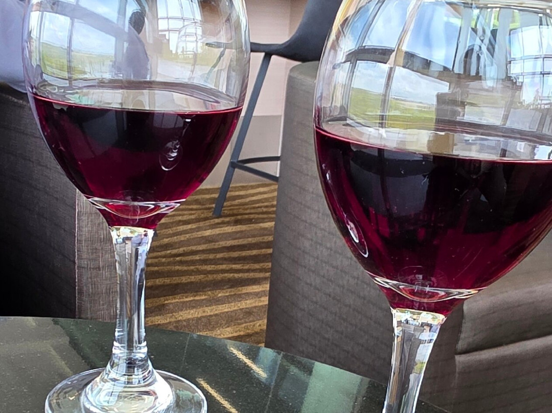 Plaza Premium Lounge (US Departures)-Nisku必去景点