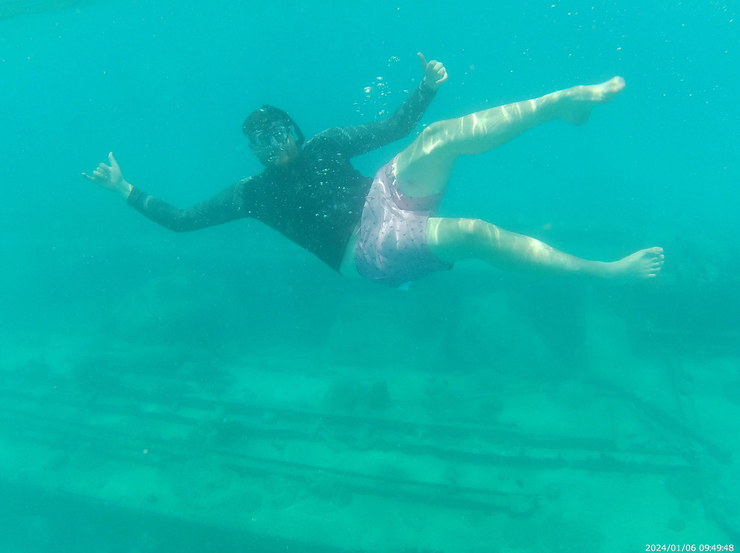 Captain Dwayne Barbados / Livity Cruises-巴巴多斯必去景点