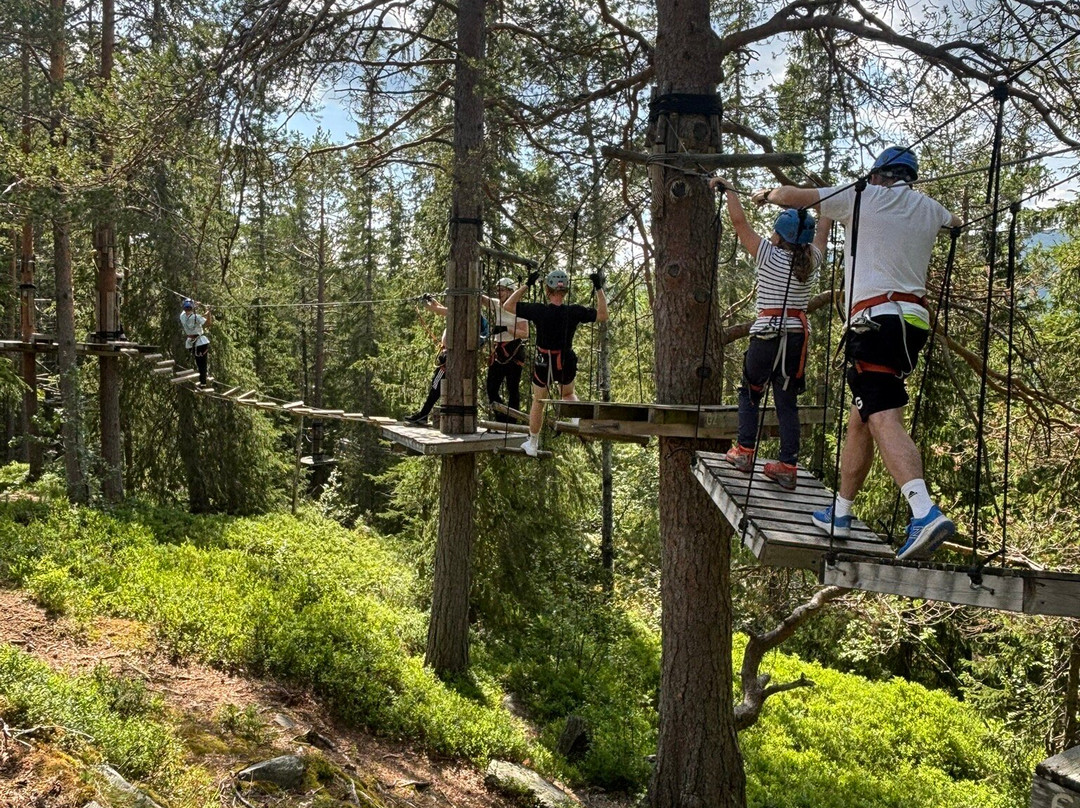 Beitostølen Aktiv & Skiskole-Beitostolen必去景点