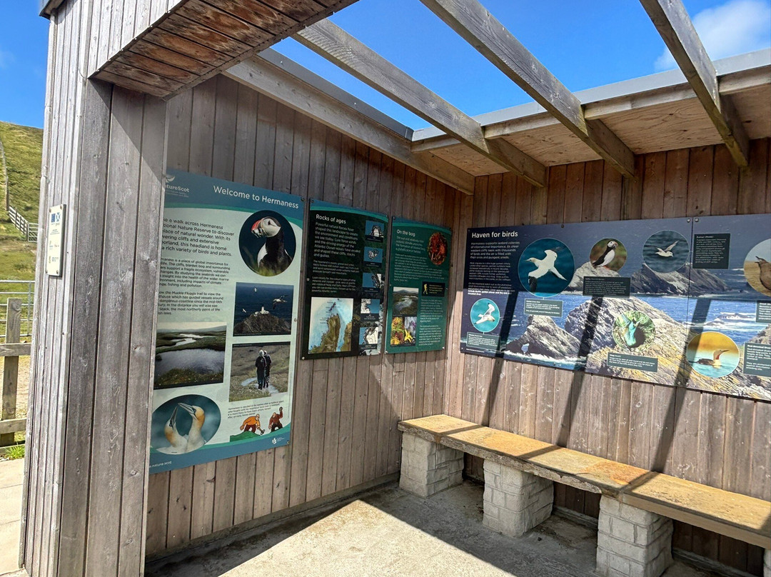 Hermaness National Nature Reserve-Unst必去景点