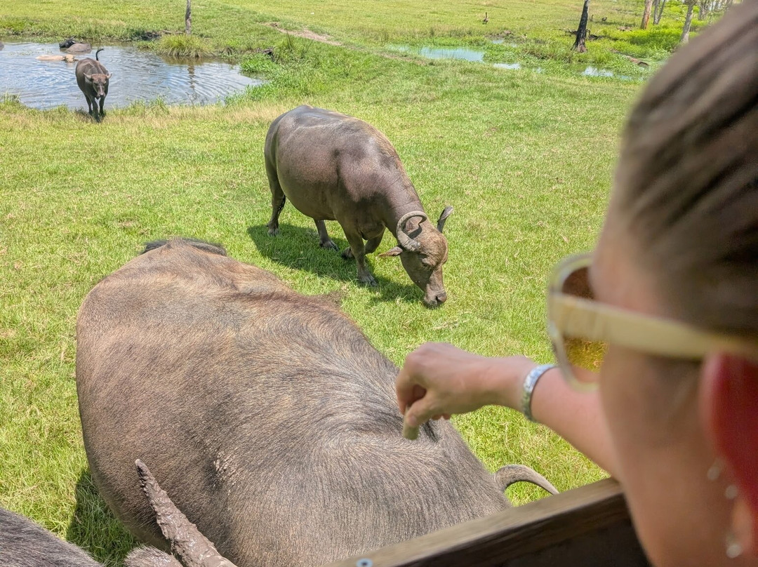 Wild Georgia Safari Park-Metter必去景点