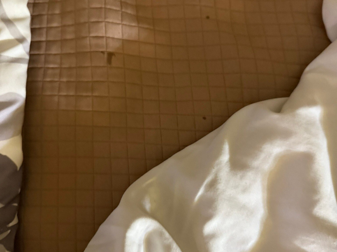 Sleep Inn South Bend Airport主图