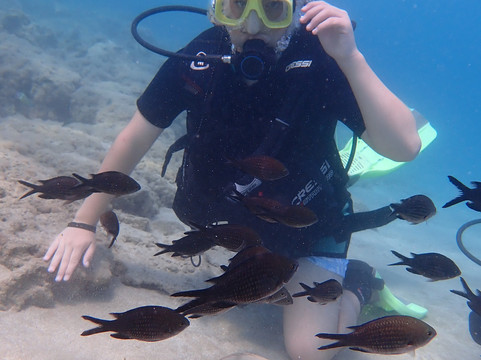 Taba Diving Centre-普它肋斯必去景点