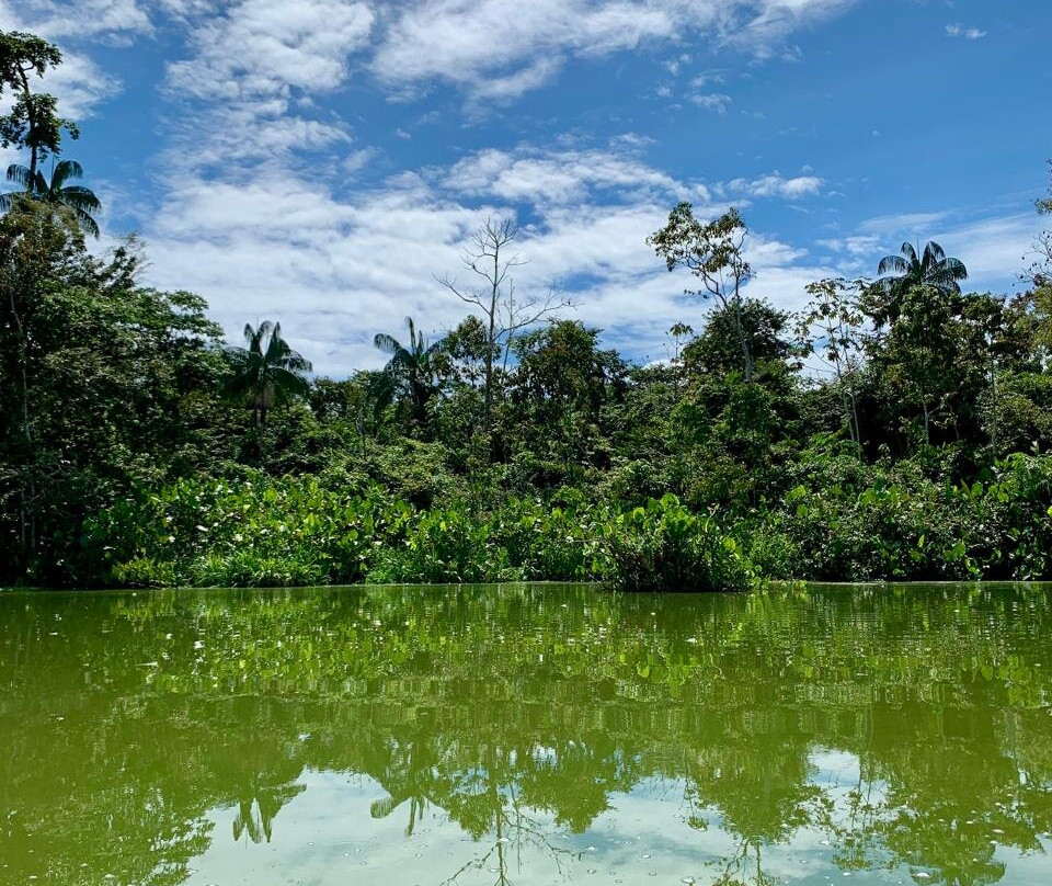 Limoncocha National Biological Reserve-Limoncocha必去景点