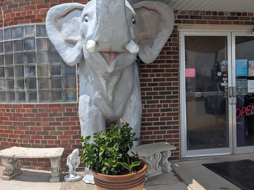 Pink Elephant Antique Mall-Livingston必去景点