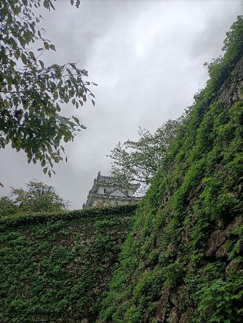 Uwajima Castle-宇和岛市必去景点