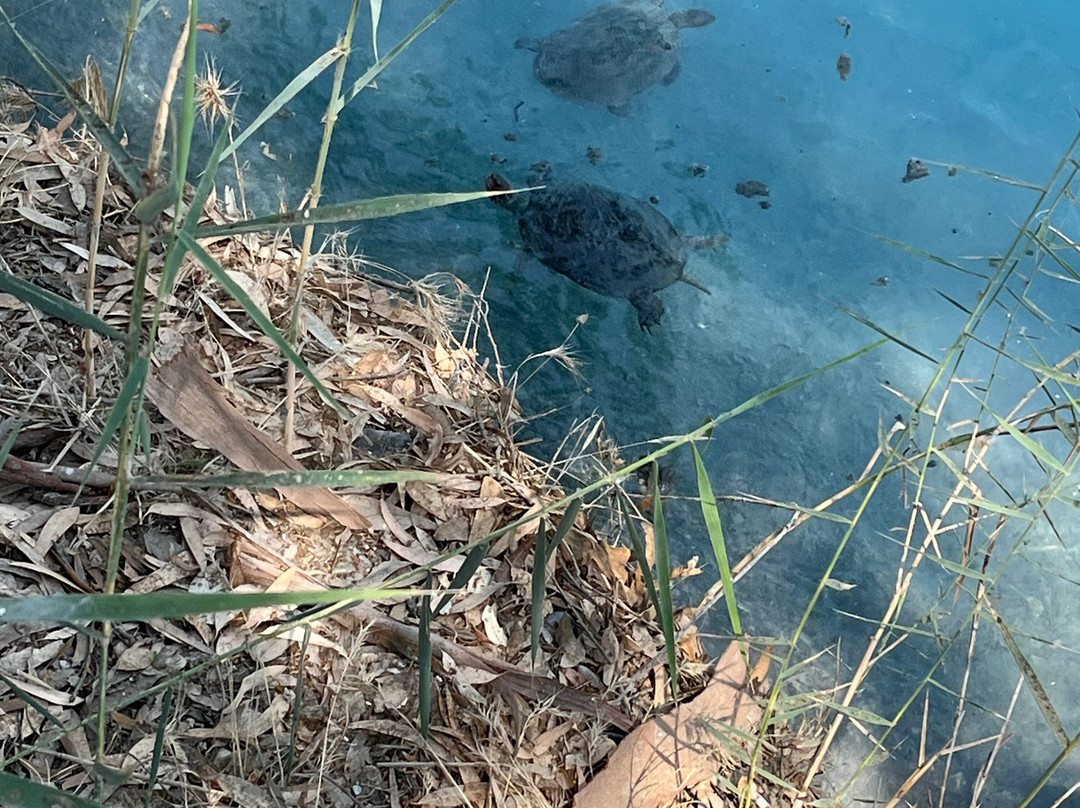 Dalyan Trophy-达利安必去景点