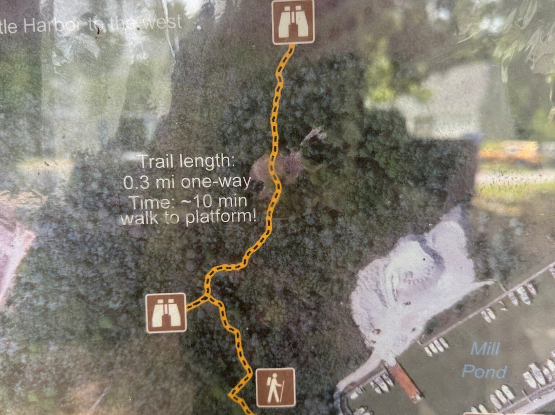 Scipio Creek Boardwalk-Apalachicola必去景点