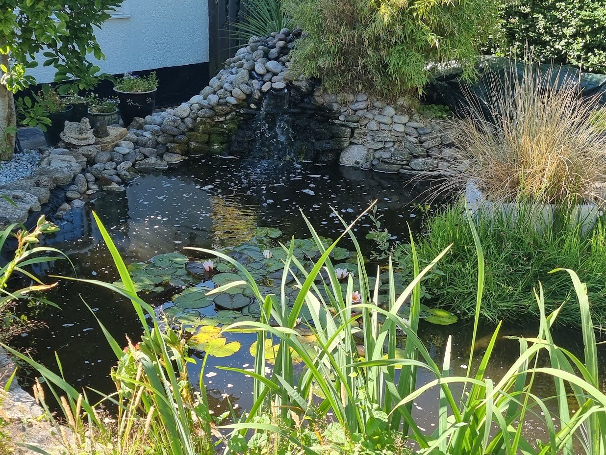 Spurwing Guest House-浴室