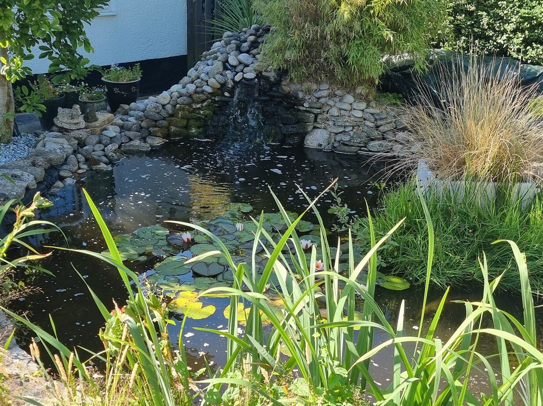 Spurwing Guest House主图