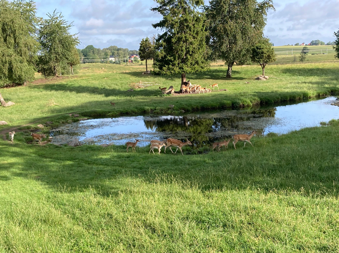 Wrågården-Falkoping必去景点