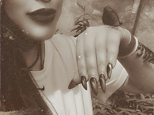 Nova Wild-维也纳必去景点