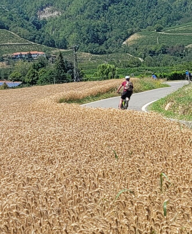 Ebike Acqui Terme-阿奎泰尔梅必去景点