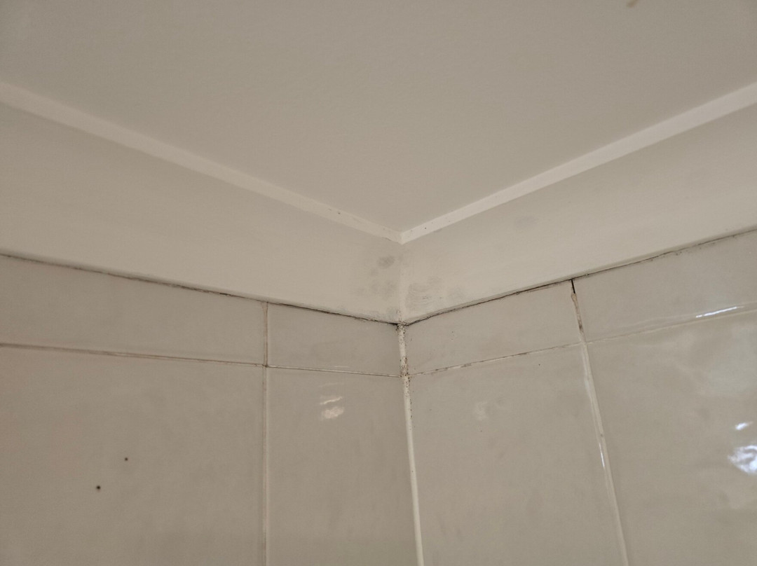 赛贝尔里斯等策查斯伍德酒店主图