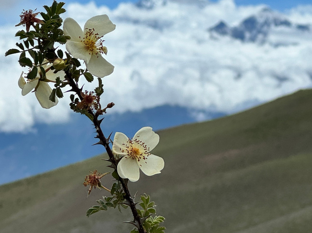 Himalayan Dream Team-加德满都必去景点