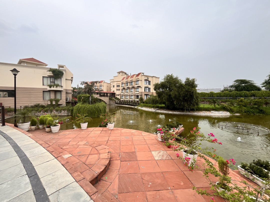 The Stellar Gymkhana主图