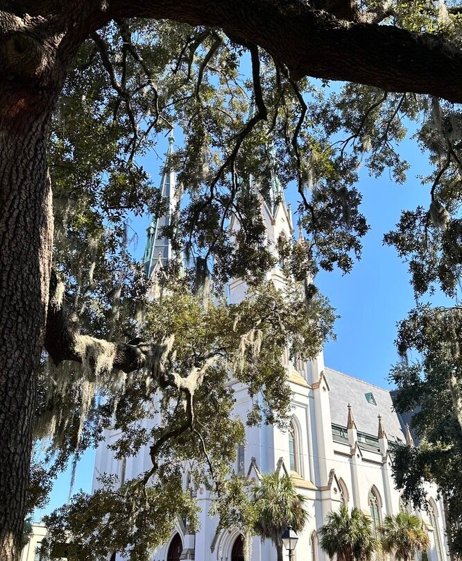 Lafayette Square-萨凡纳必去景点