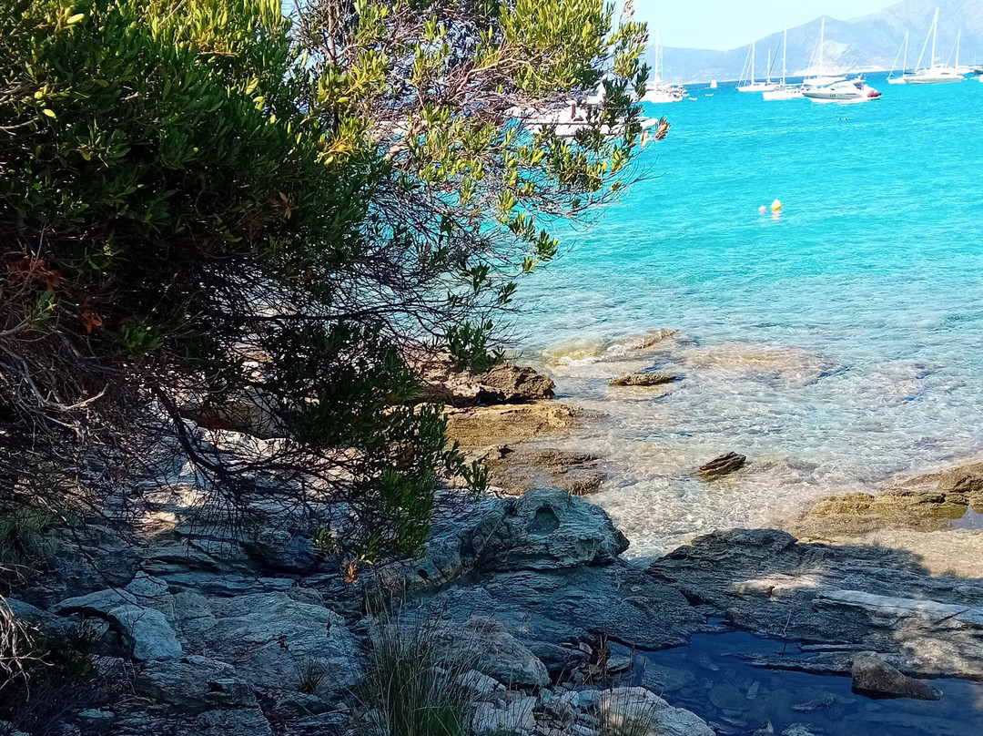 Nebbiu Aventura-Santo-Pietro-di-Tenda必去景点