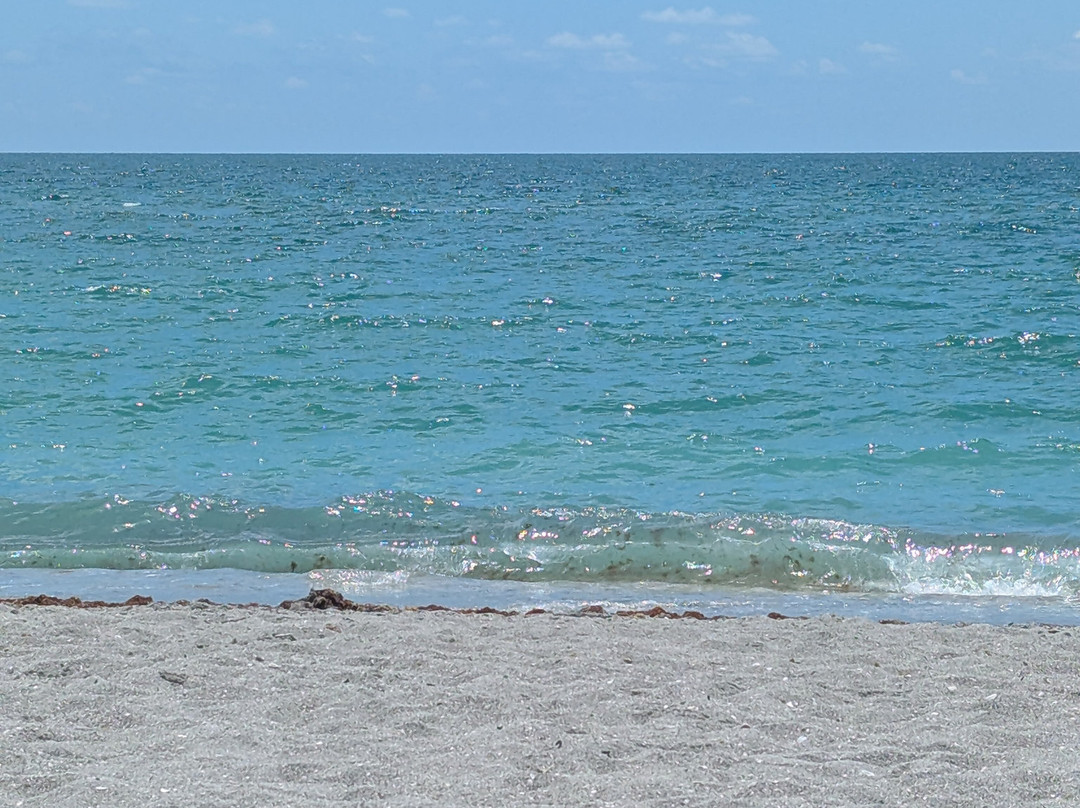Venice Beach-威尼斯必去景点