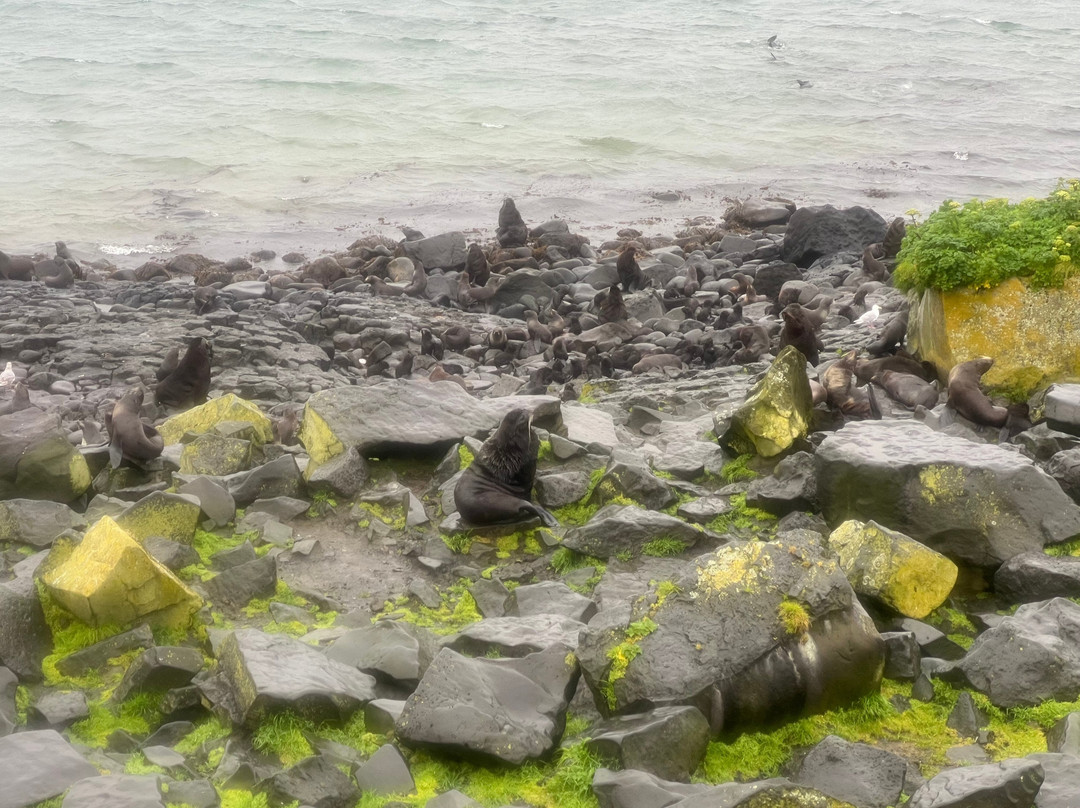 Alaska Maritime National Wildlife Refuge-Saint Paul Island必去景点