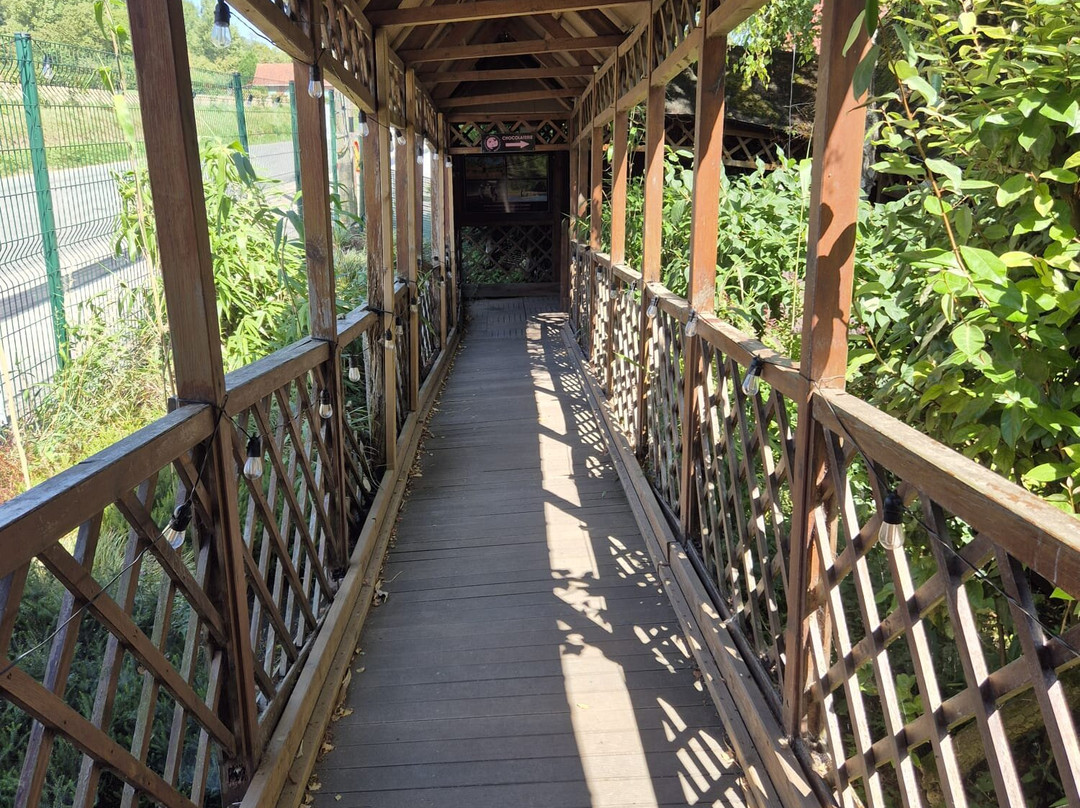 Chocolaterie de Beussent-Lachelle-Beussent必去景点