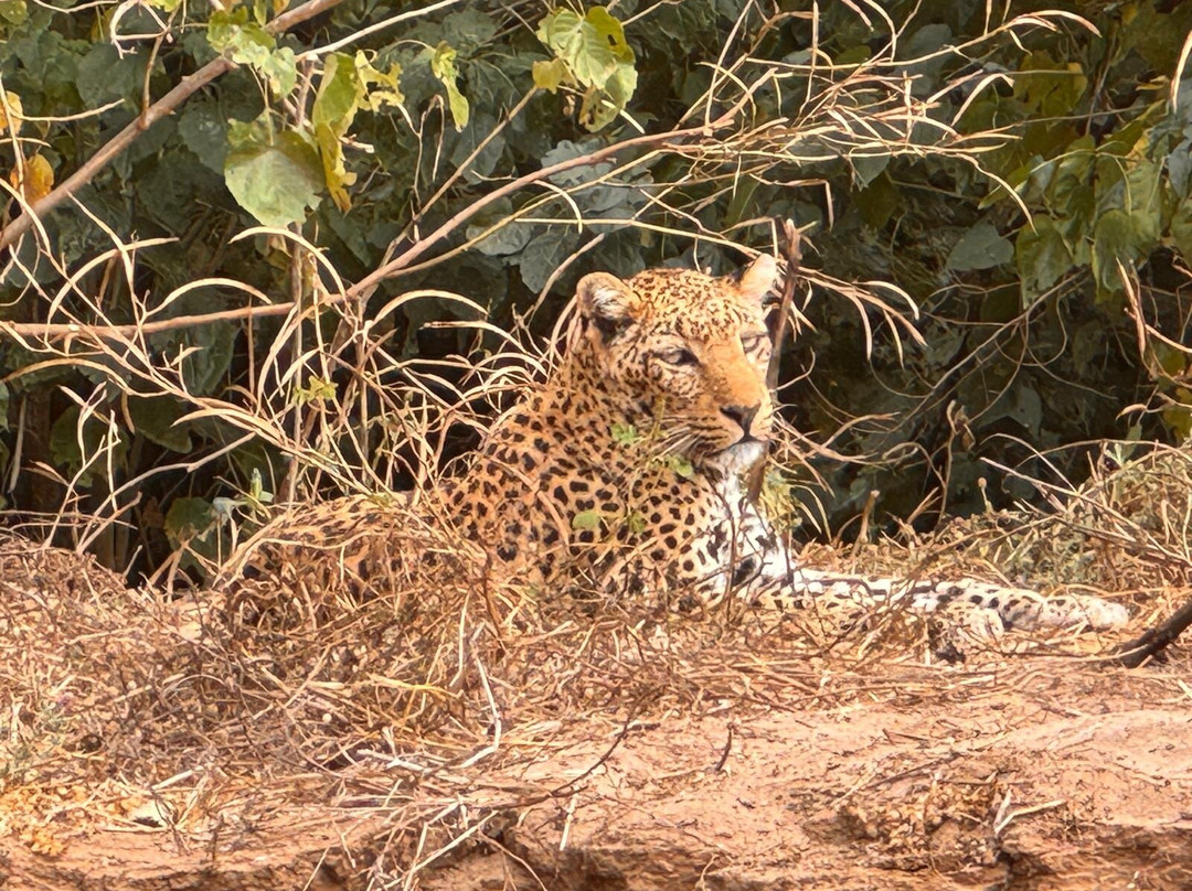 J&l Private Safaris-Chirundu必去景点