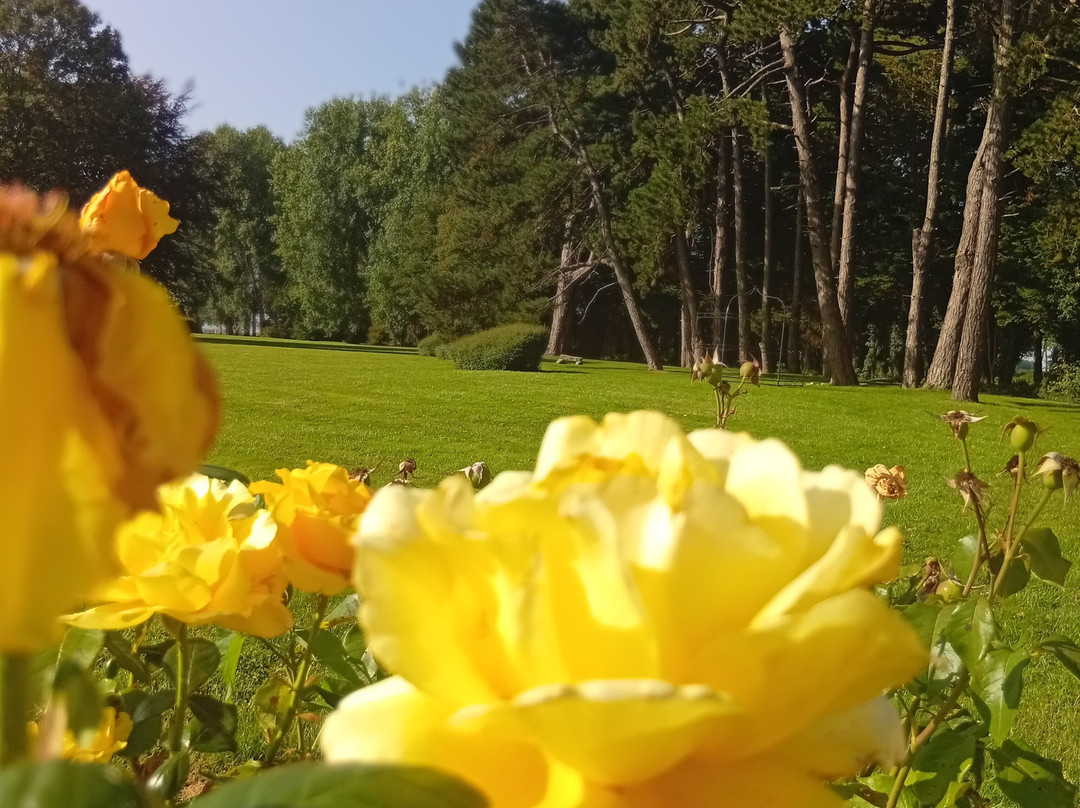 Domaine de Bertheauville主图