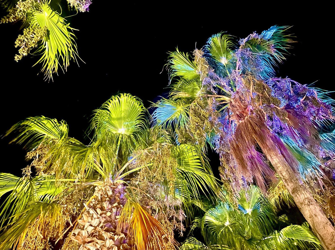 Hotel Olimpo-Le Terrazze