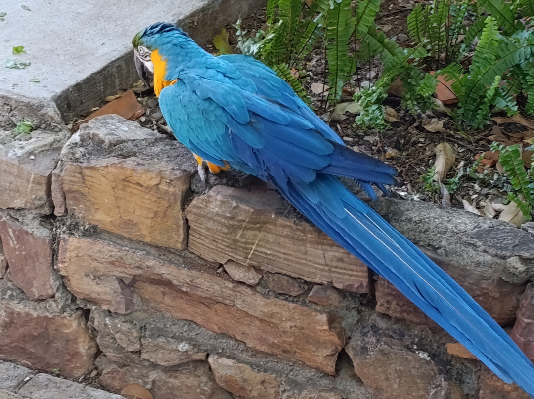 Chapada Imperial-Brazlandia必去景点
