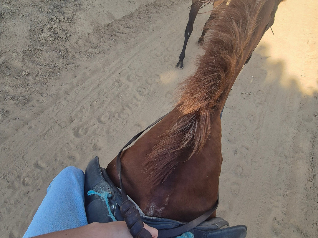 Dehesa Boyal-Villamanrique de la Condesa必去景点