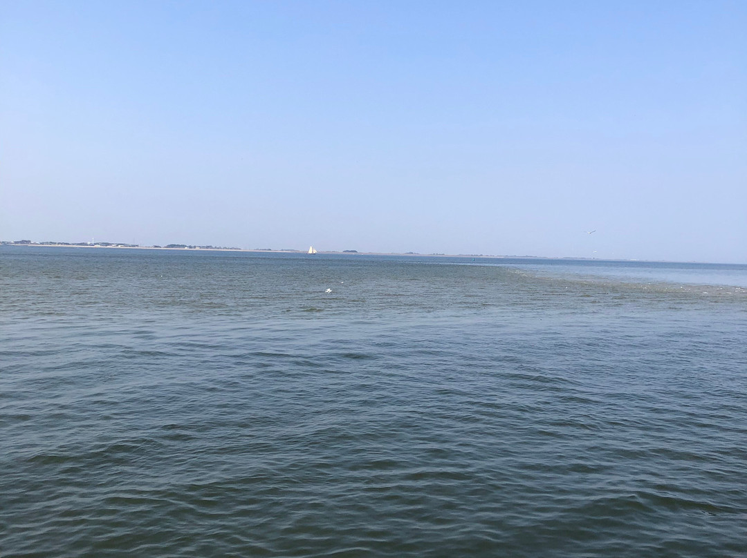 Het Wad op -TX10 & TX20-Oudeschild必去景点