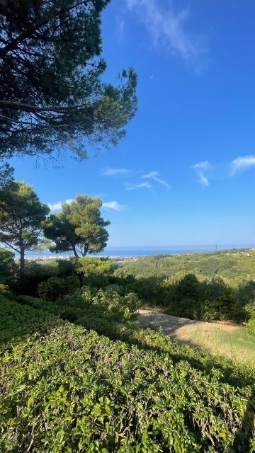B&B Le Rondinelle-官方