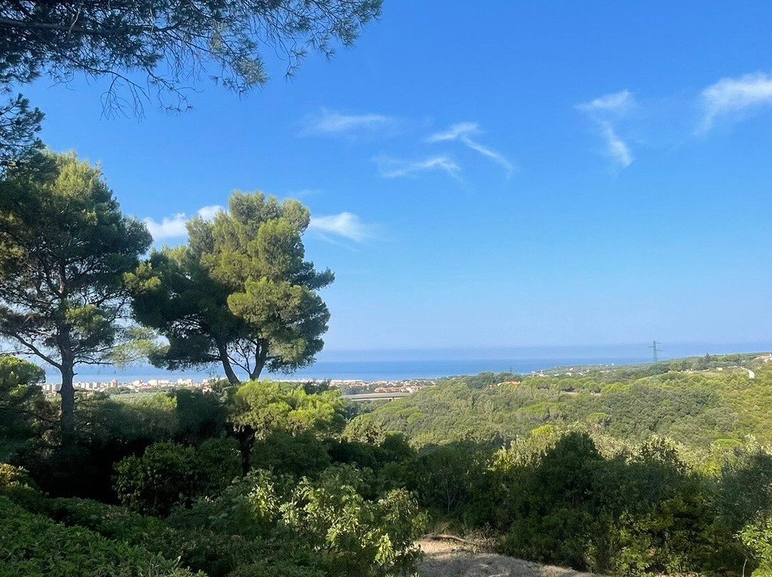 B&B Le Rondinelle主图