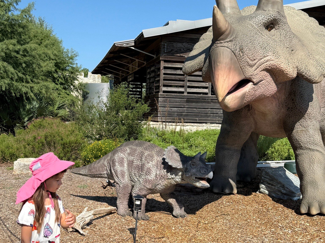 伯德约翰逊夫人野花中心-奥斯丁必去景点